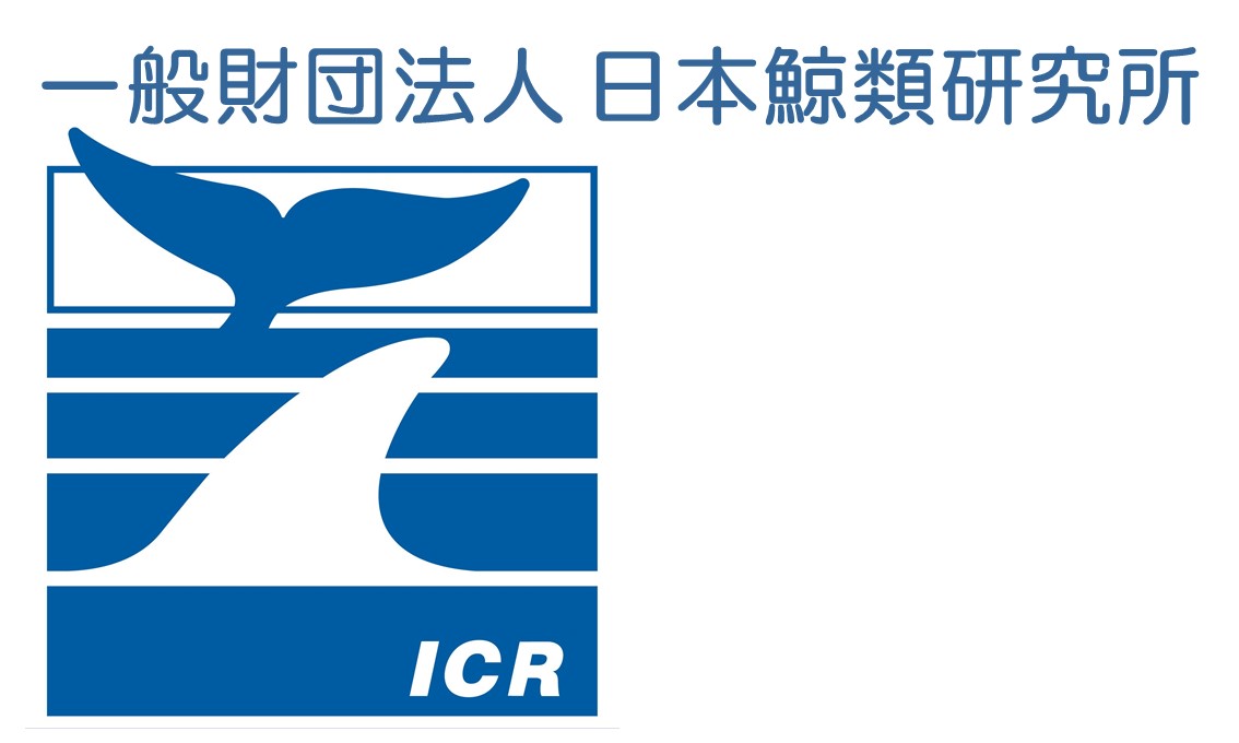 ���~�����S