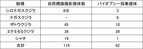 �e���������