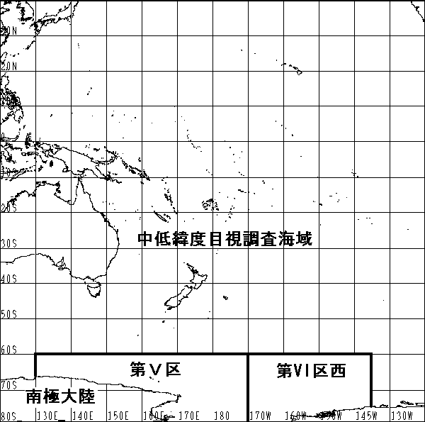 �����C��}