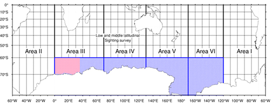 �����C��}