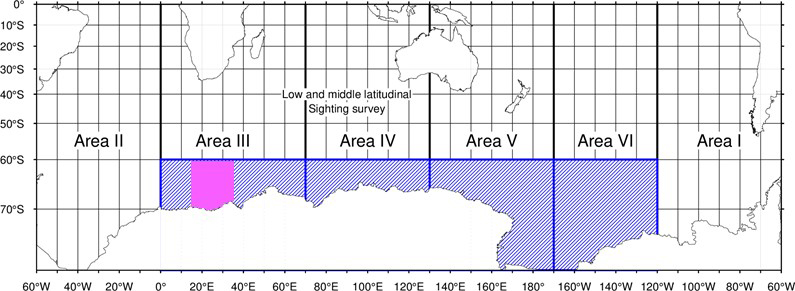 �����C��}