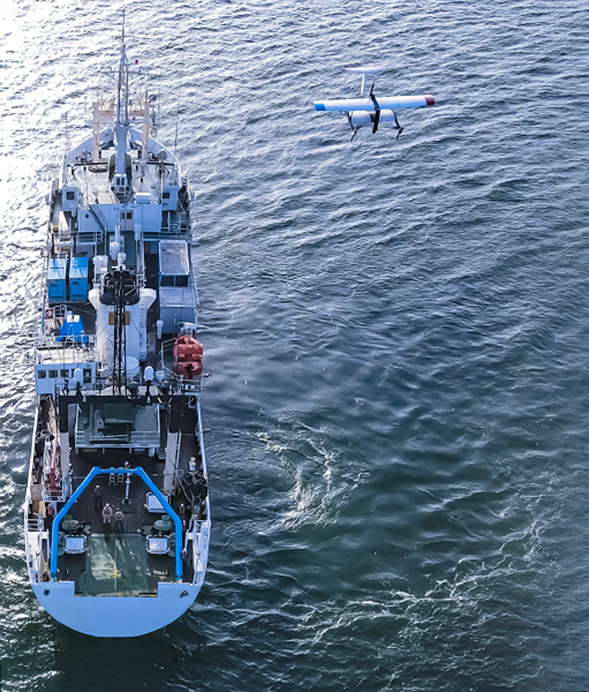 �h���[��2