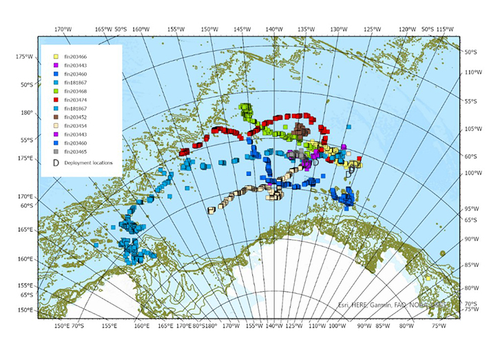 2022�i�K�X�ړ��o�H