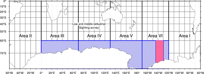 2023�����C��}