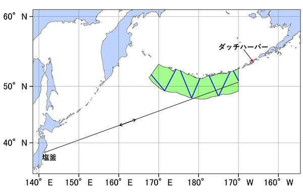 �����C��}