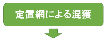 �X�g�����f�B���O